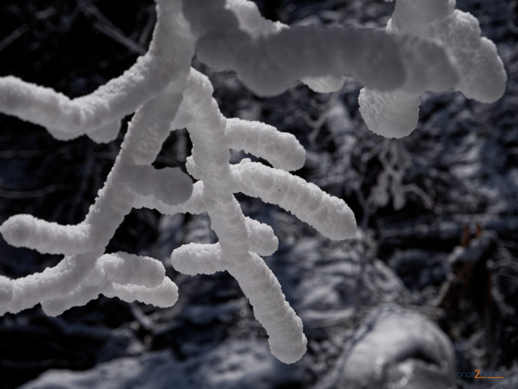 Fotografien von Matthias Stolze: Foto-Tour bei Eis und Schnee Teil 2: Winterlandschaft bei der Wieladinger Burg im Hotzenwald / Südschwarzwald!