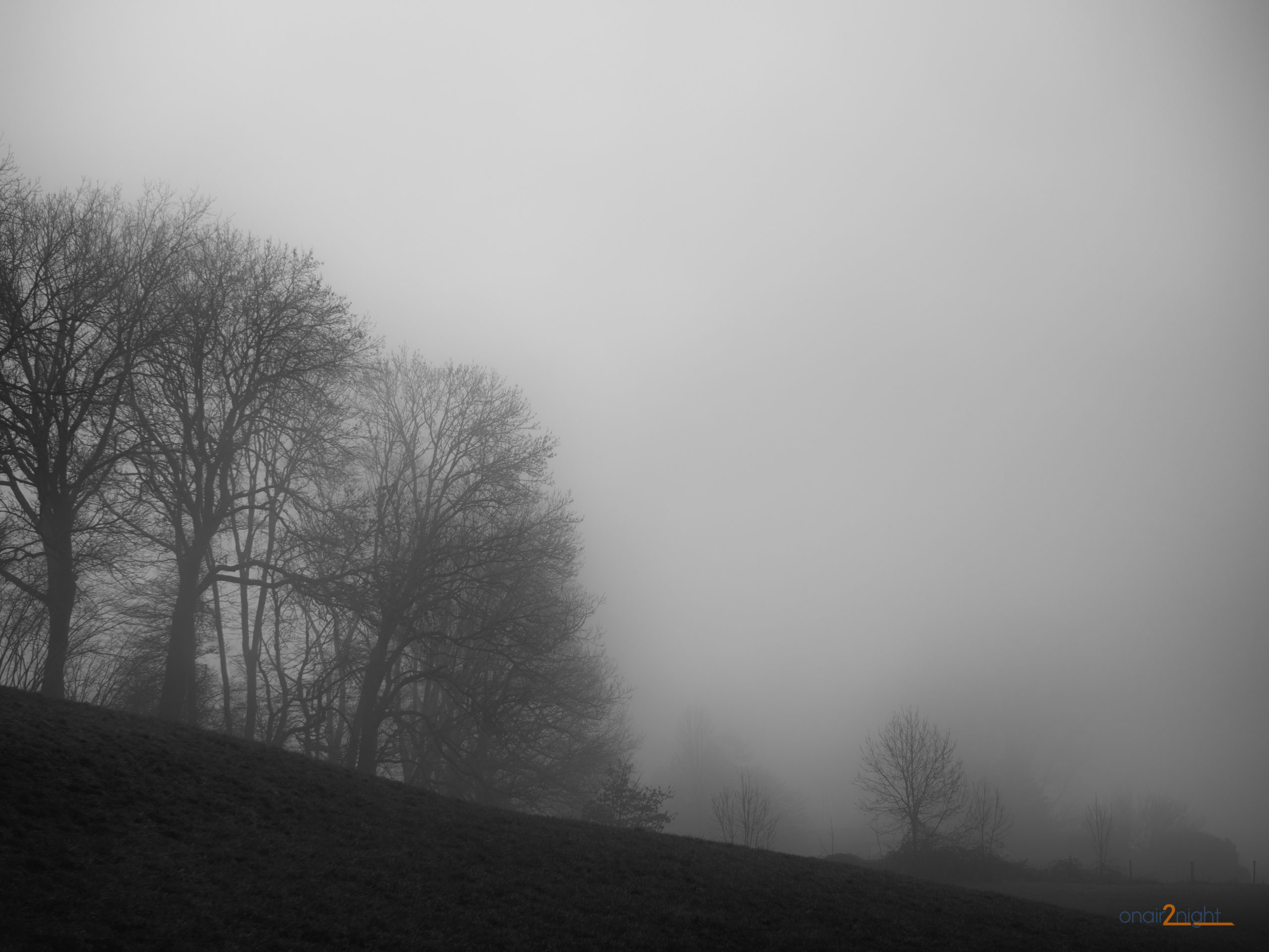 Bäume-Nebel_02_oa2n