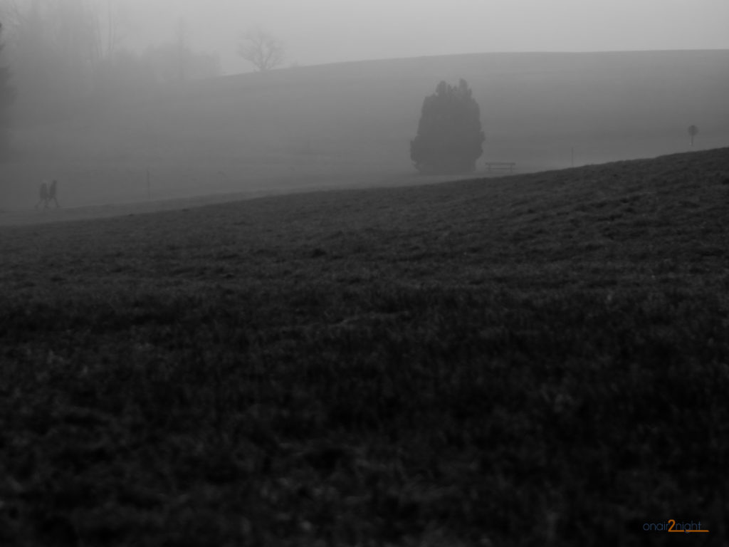 Fotografie von Matthias Stolze: Spaziergang im Nebel